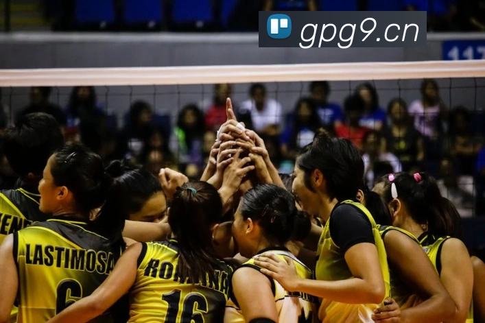 九游j9备用官网服务体系